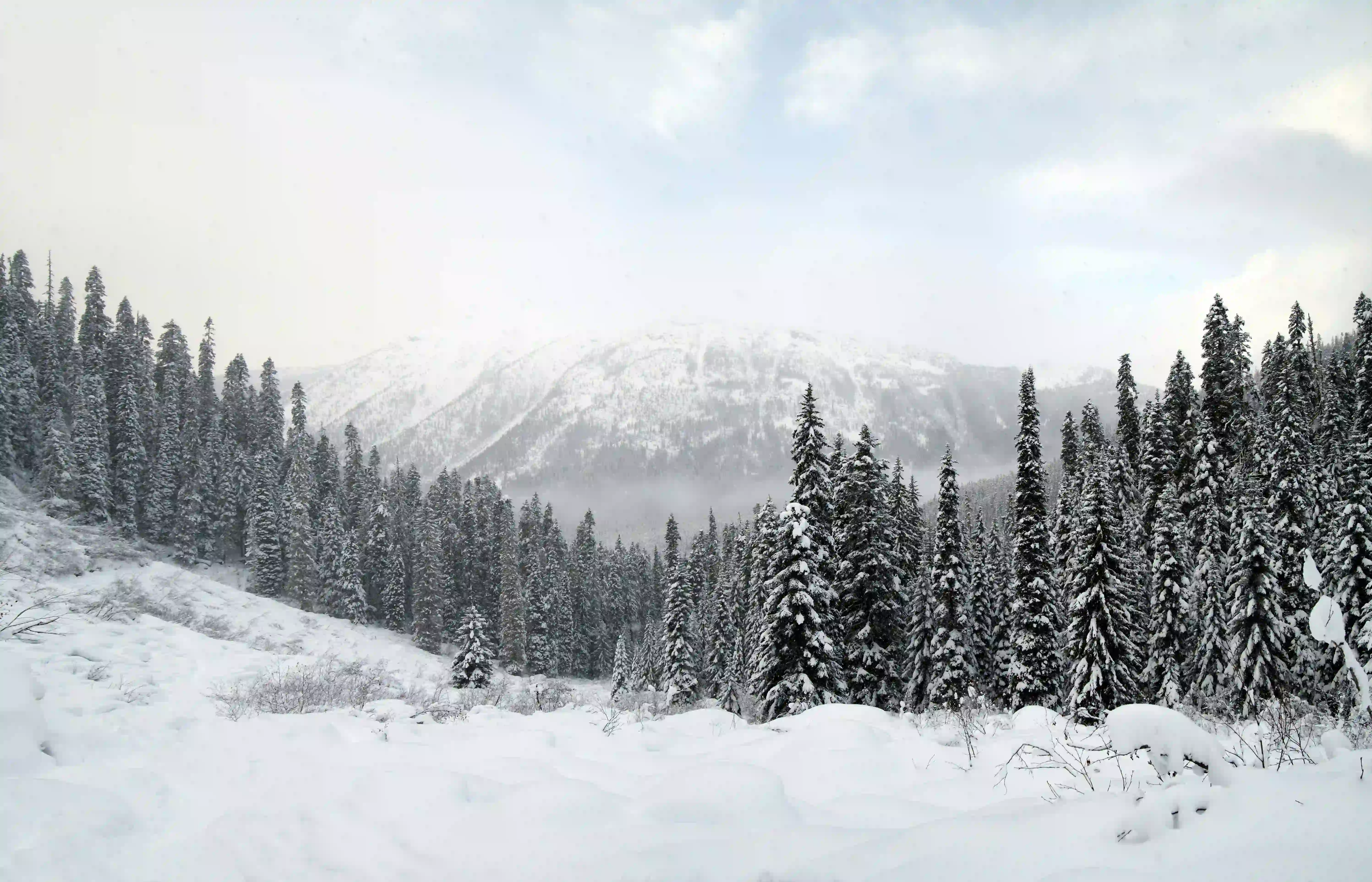 Sonmarg Alpine Escape